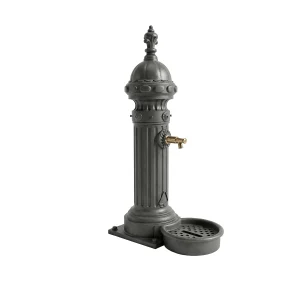 Fuente - TREVI